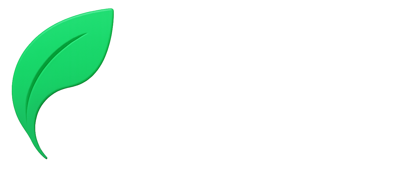 solaitime.com