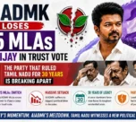 AIADMK MLAs support Vijay trust vote
